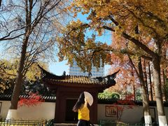 -郑和公园