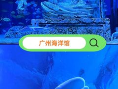 -广州海洋馆