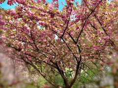 -苏州河梦清园环保主题公园