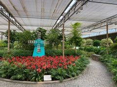 -南宫五洲植物乐园