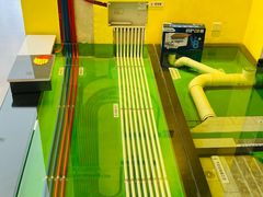 -蜗窝家|懒人整装(番禺店)