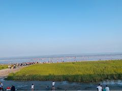 -南汇嘴观海公园