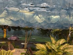 -风云岭森林公园