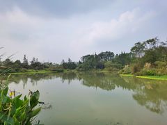 -桤木河湿地公园