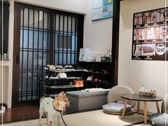 大堂-逗柴咖啡屋·狗咖猫咖宠物桌游