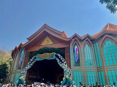 -西双版纳原始森林公园