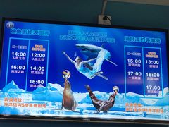 -成都浩海立方海洋公园