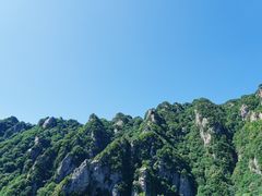 -王顺山国家森林公园