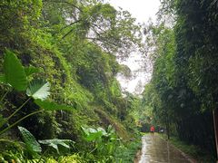 -重庆彩云湖湿地公园