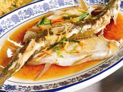 清蒸白水鱼-洞天食府(北大街店)