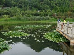 -贵阳市花溪国家城市湿地公园
