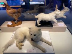 -国家自然博物馆