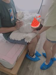-NICE KIDS 奈时儿童摄影