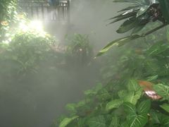 -呀诺达热带雨林