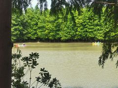 -上海海湾国家森林公园