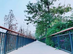 -金山公园