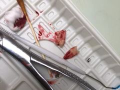 -天使口腔门诊部(上海店)