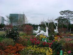 景点-二沙岛艺术公园