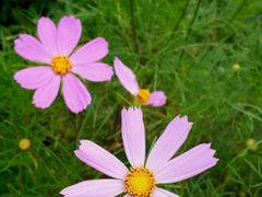 android_upload_pic-贵阳市花溪国家城市湿地公园