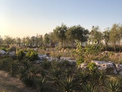 -春花秋色城市公园