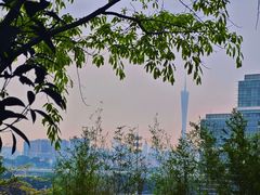 -广州国际生物岛山地公园揽胜园