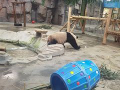 -栾川竹海野生动物园