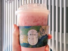 -野萃山·潮汕厚果汁(十亩地店)