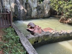-宁波野生动物园