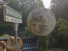 -杭州少年儿童公园