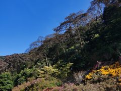 -广州市石门国家森林公园