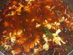 -重庆乌鱼庄·龙滋鲜(青羊大道店)