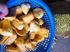 -红星农博物流中心