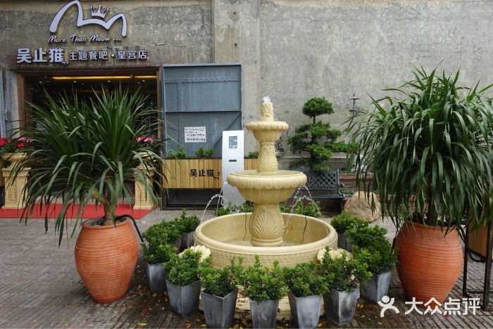 more than meow吴止猫主题餐厅(承德 中船汇店)门面图片