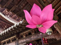 -钱王祠