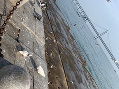 -星海广场