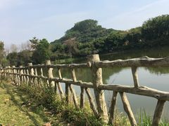-大屏嶂森林公园