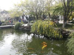 -荆川公园
