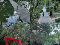 -燕晗山郊野公园