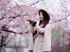 -白塘生态植物园