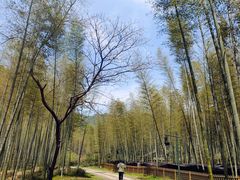 -黄公望隐居地