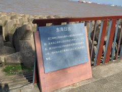 -上海滨江森林公园