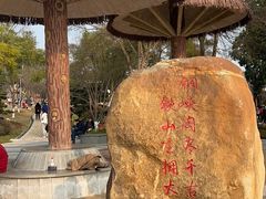 -铁山坪森林公园