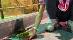 -酷嗒动物文化乐园(cutezoo西溪乐天城店)