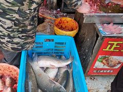 鲜鱼-正宗上海沈记熏鱼(木匠营小区店)