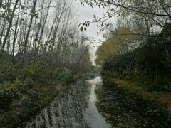 -昆山城市生态森林公园