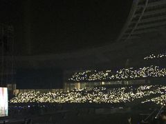 -南京奥林匹克体育中心-体育馆