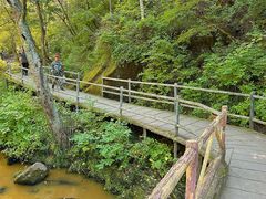 -茅兰沟国家森林公园