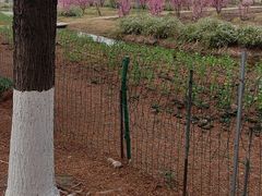 -嘉北郊野公园