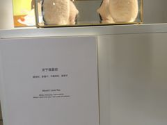 -辰熙ACX星海艺术中心