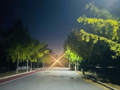 -绿堤公园